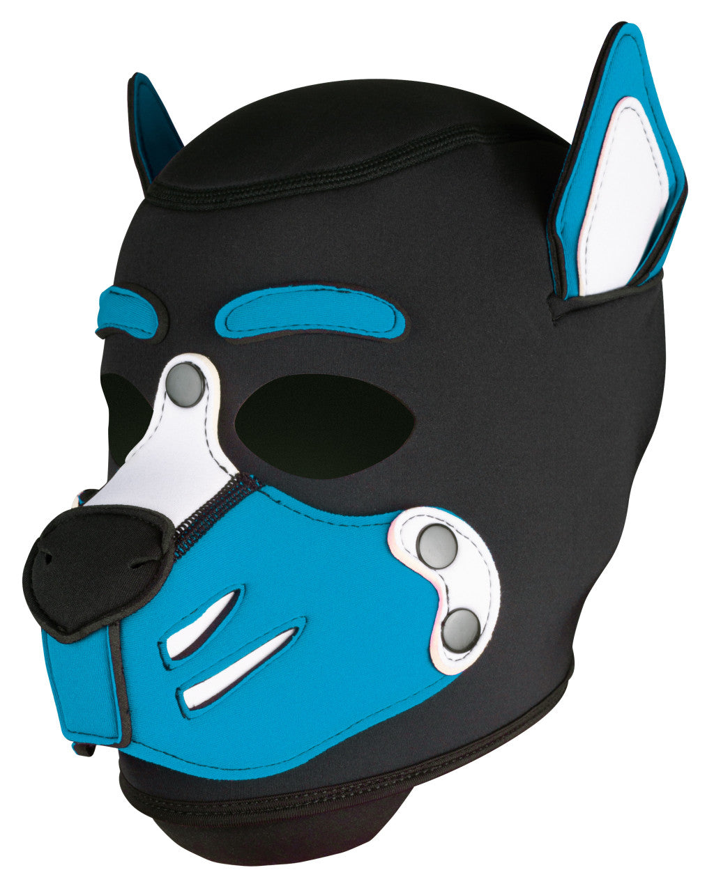 Husky Turkish Blue Hoodie