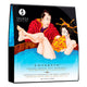Shunga - A Pleasure Bath Full Of Seafood