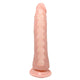 Baile – Lifelike Vertebral Dildo 20.1 Cm