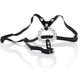 Calexotics – Sensual Thong With Beads