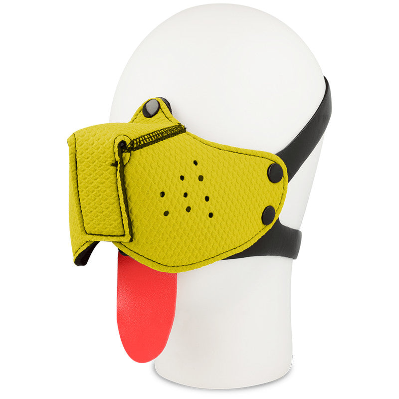 Ohmama Fetish – Stylish Dog Leash In Yellow