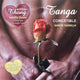 Hotflowers – Men's Thong + 2 Vanilla Wafer Nipple Brushes