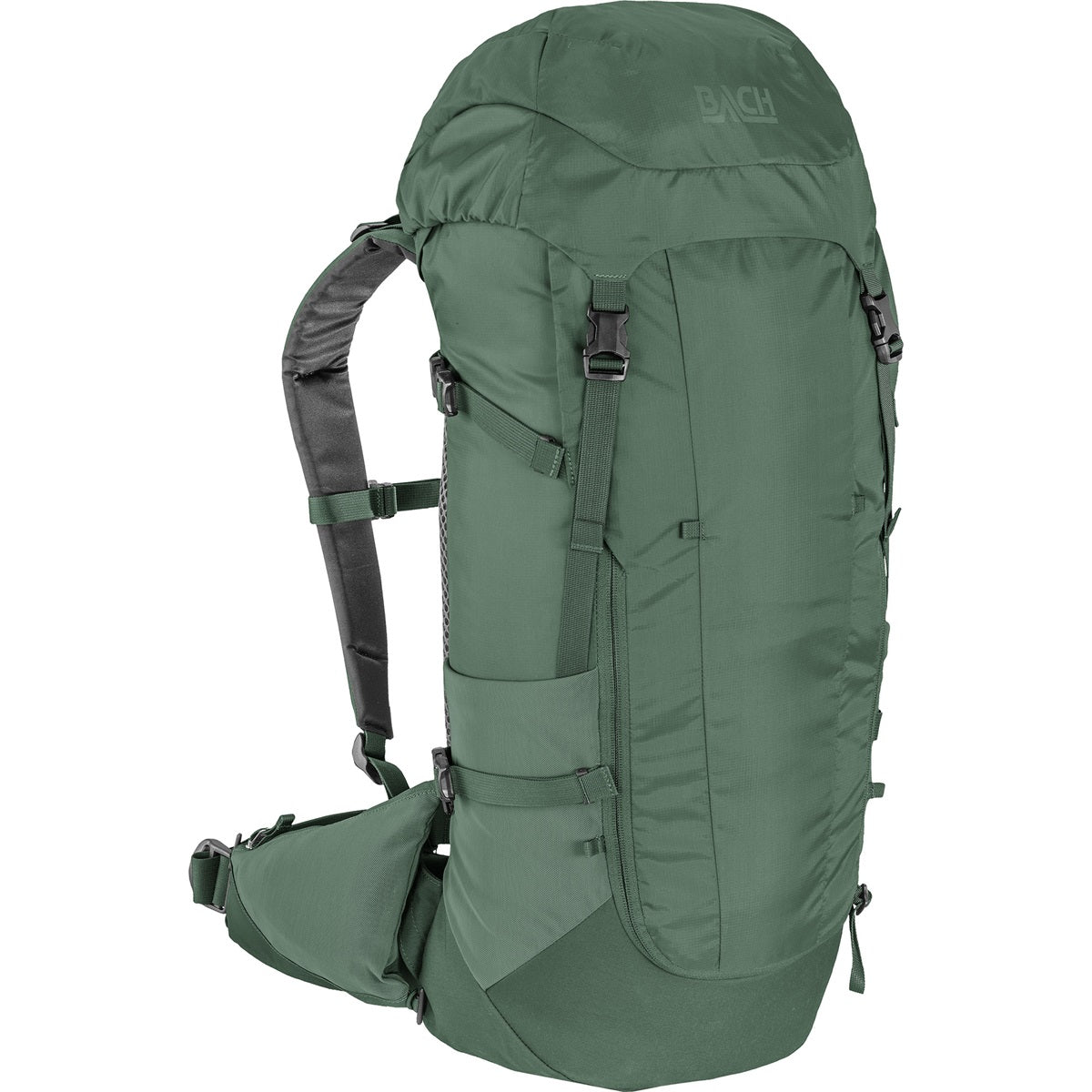 Bach Daydream 35 Pine Green Regular