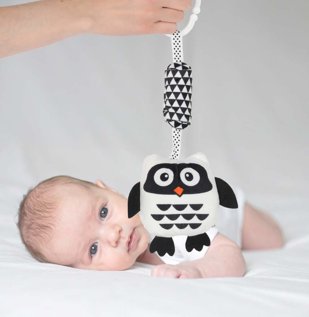Sensory Pendant Rattle Contrast Owl