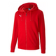 Puma Teamgoal 23 Casuals Jr Hoodie