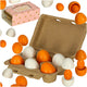 Play Eggs Removable Wooden Yolks