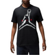 Air Jordan Graphic Large T-shirt