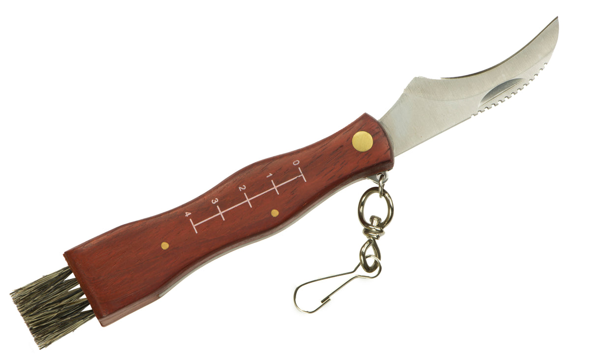 Coltello tascabile per funghi