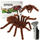 Remote Controlled Tarantula Spider + Pilot