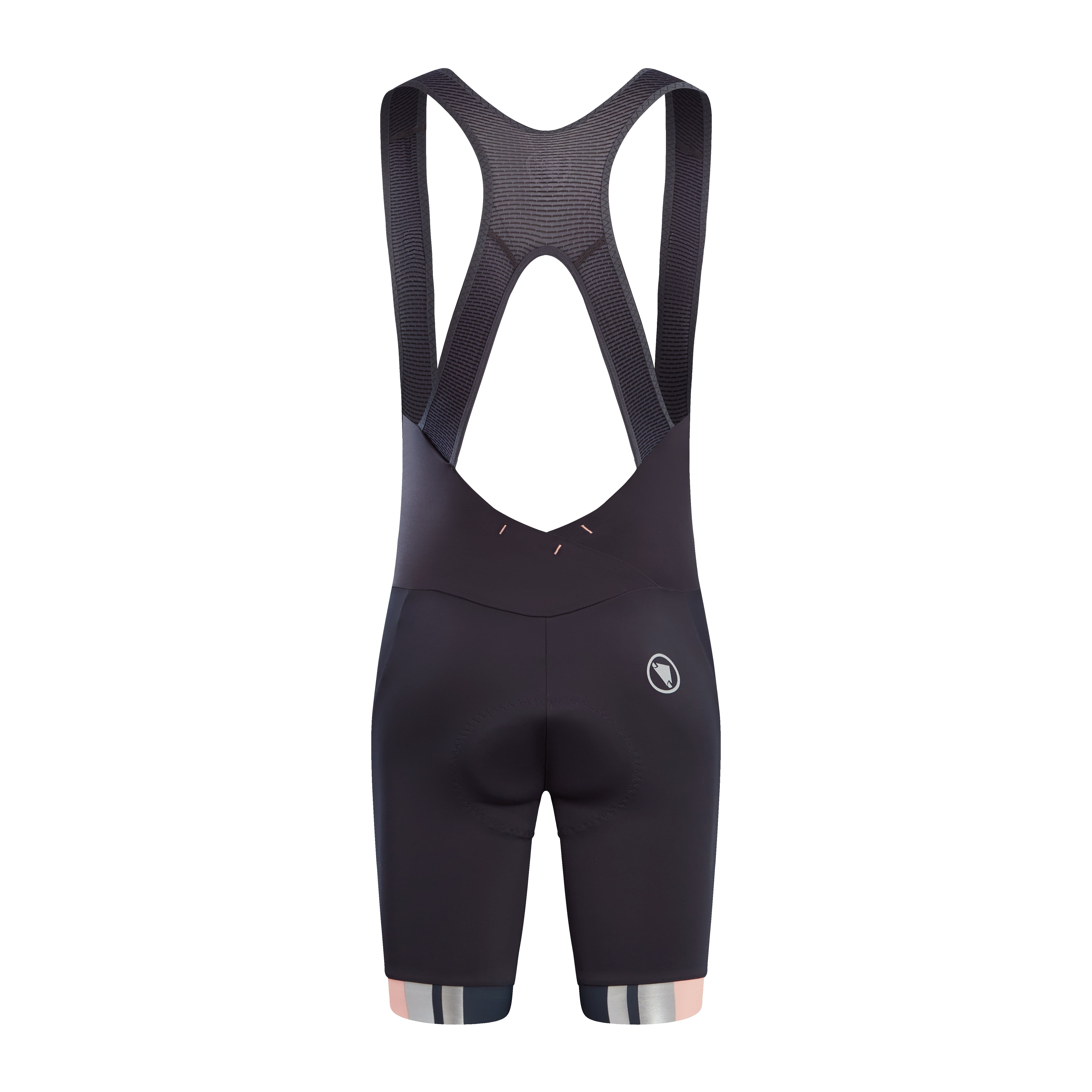 Endura Wms Fs260-pro Bibshort Ds Np Rannoch Pink
