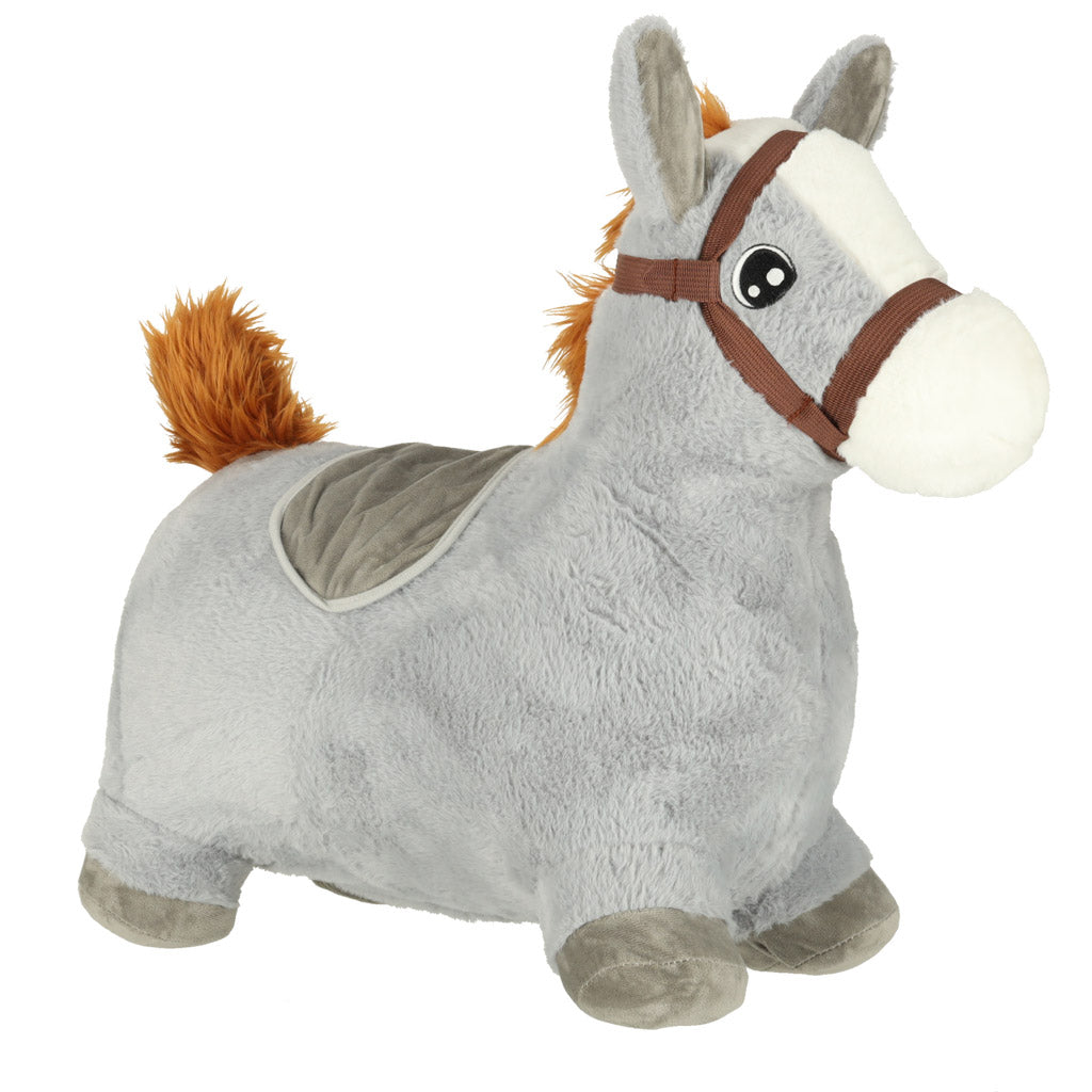 Children's Jumping Jumper With Pump Rubber Horsehorse