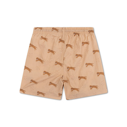 Spodenki kąpielowe Swim Essentials — brązowy — Roamer