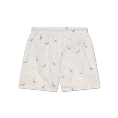 Pantaloncini da bagno Swim Essentials - Multicolor - Dino