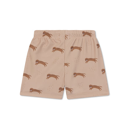 Boxer da nuoto Swim Essentials - Marrone - Roamer
