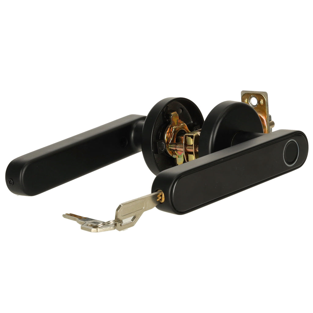 Fingerprint Code Bluetooth Combination Door Handle