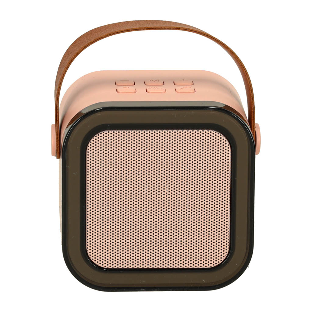 Karaoke Speaker With Microphone Pink