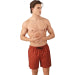 Brunotti Men's Swim Shorts