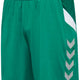 Детски шорти Hummel Tech Move Jr Green