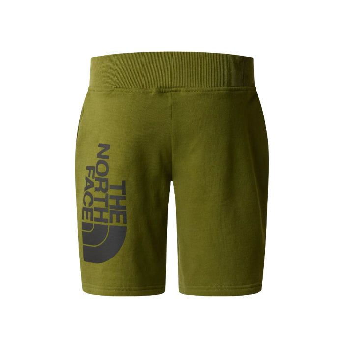 The North Face Ежедневни къси момчета