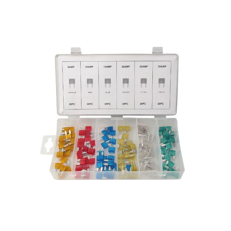 Mini Car Fuses 5-30a 120-pack Assortment Box Beast