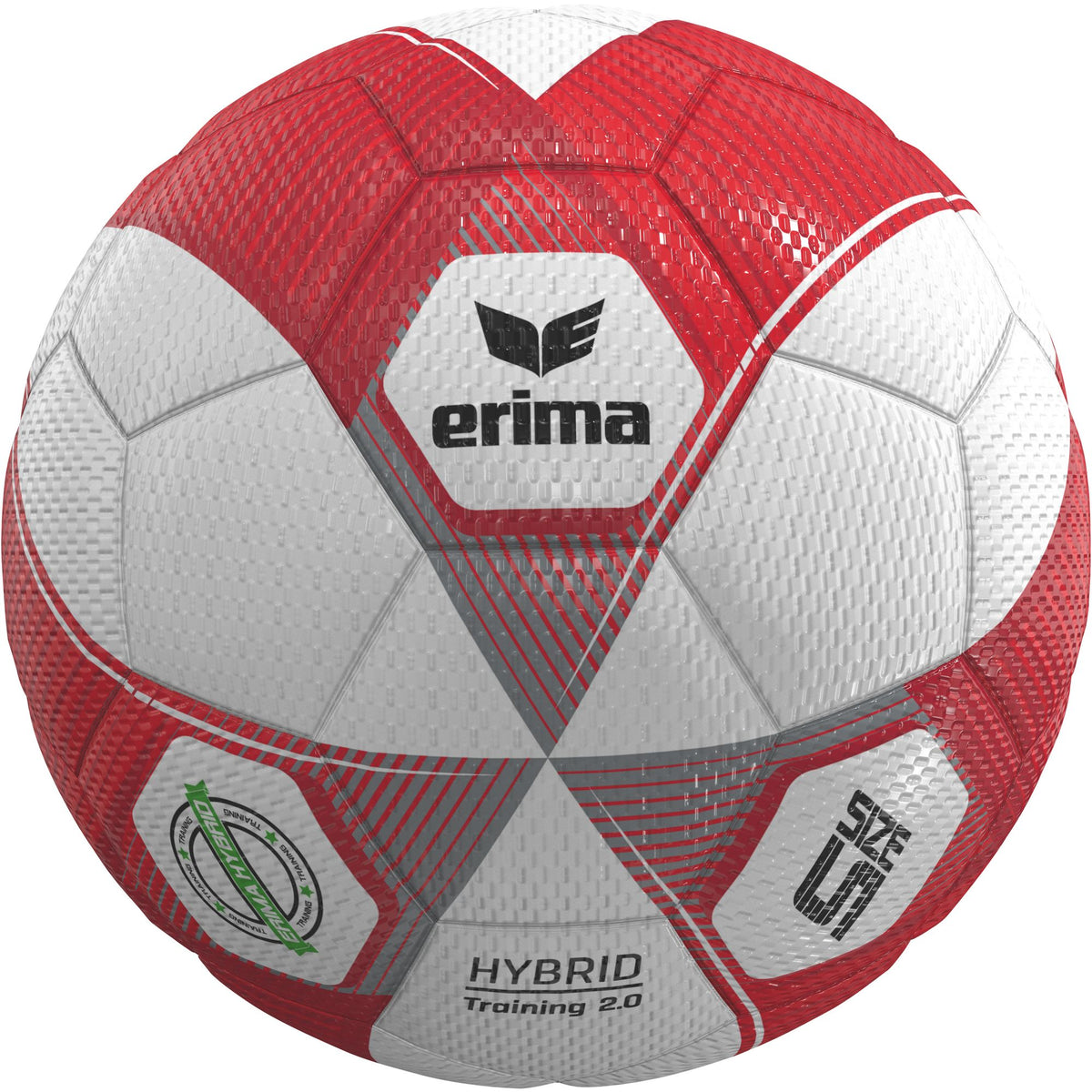 Erima Erima Hybrid Training 2.0 Rojo/Plata 5