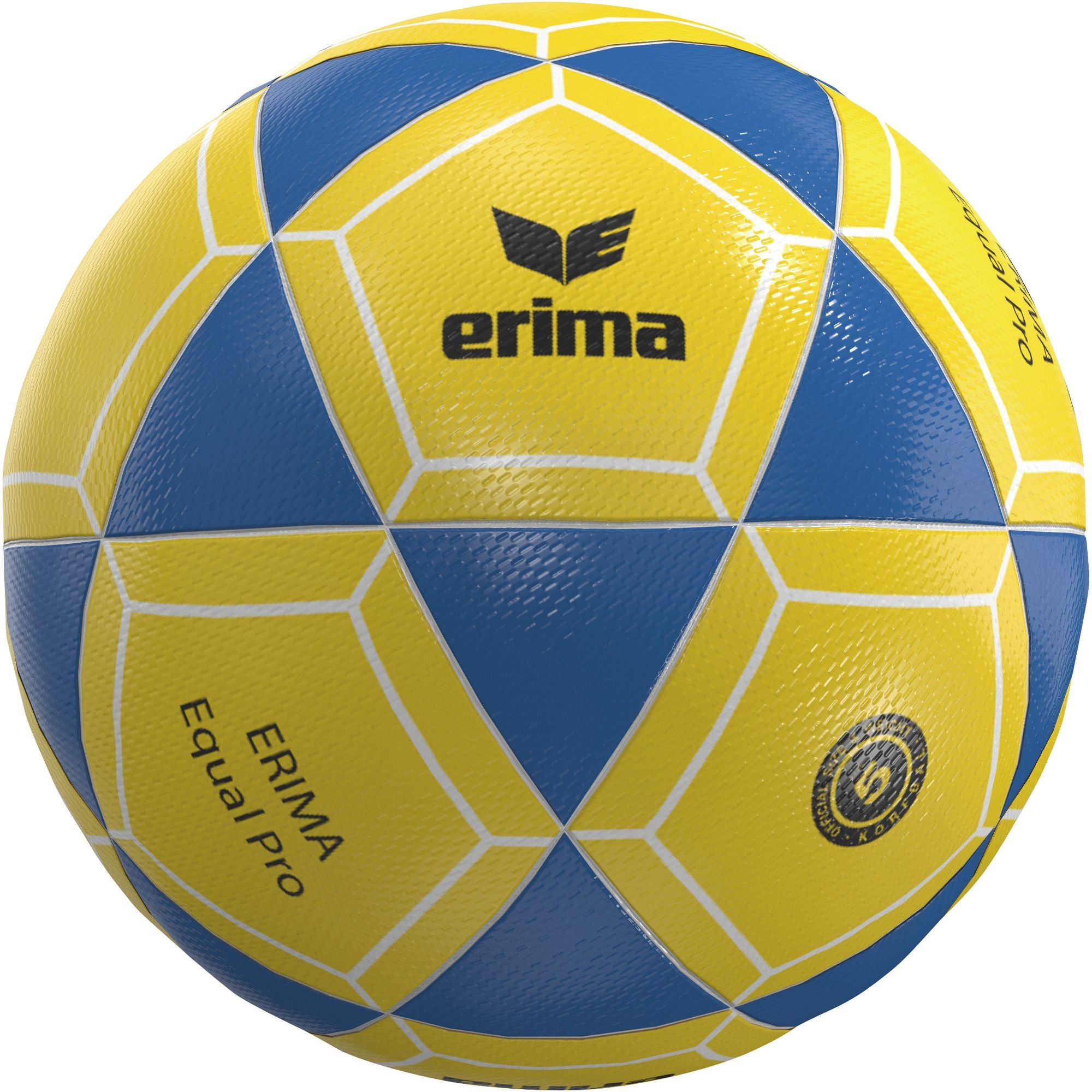 Wielokolorowa piłka Erima Korfball Equal Pro