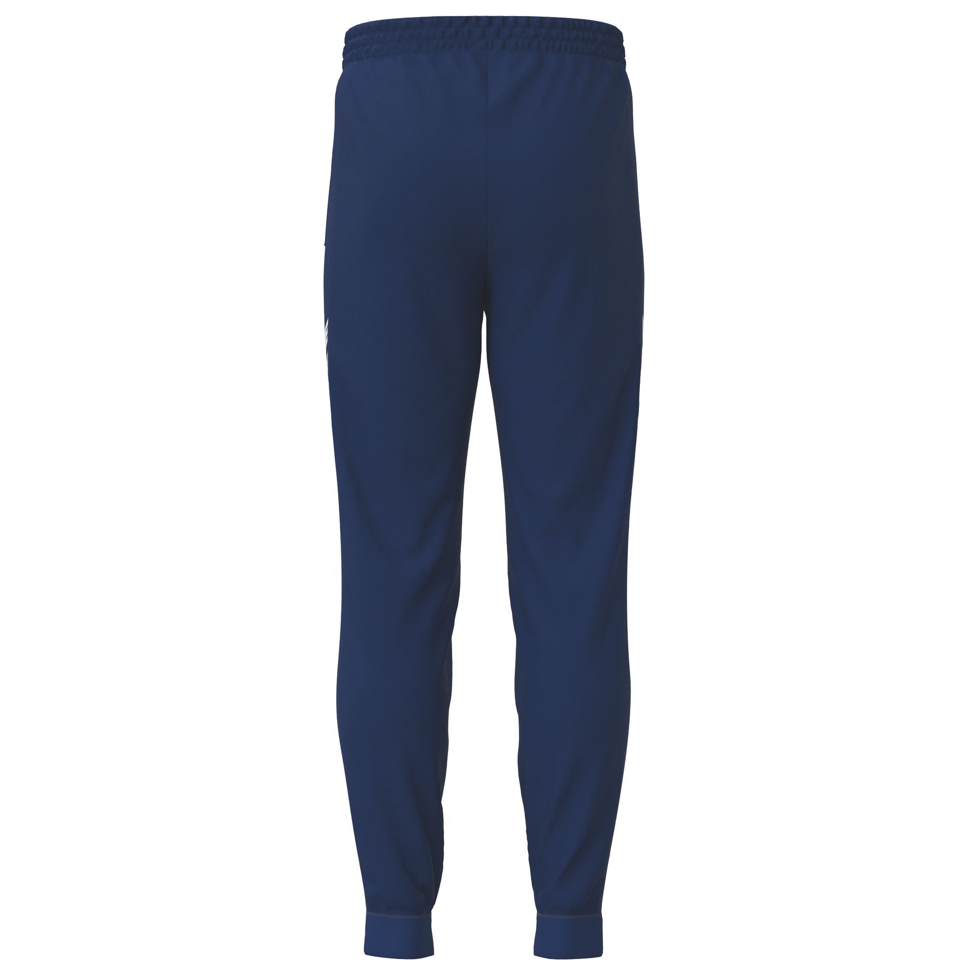 Erima Cmpt Wings Sweatpants Blå