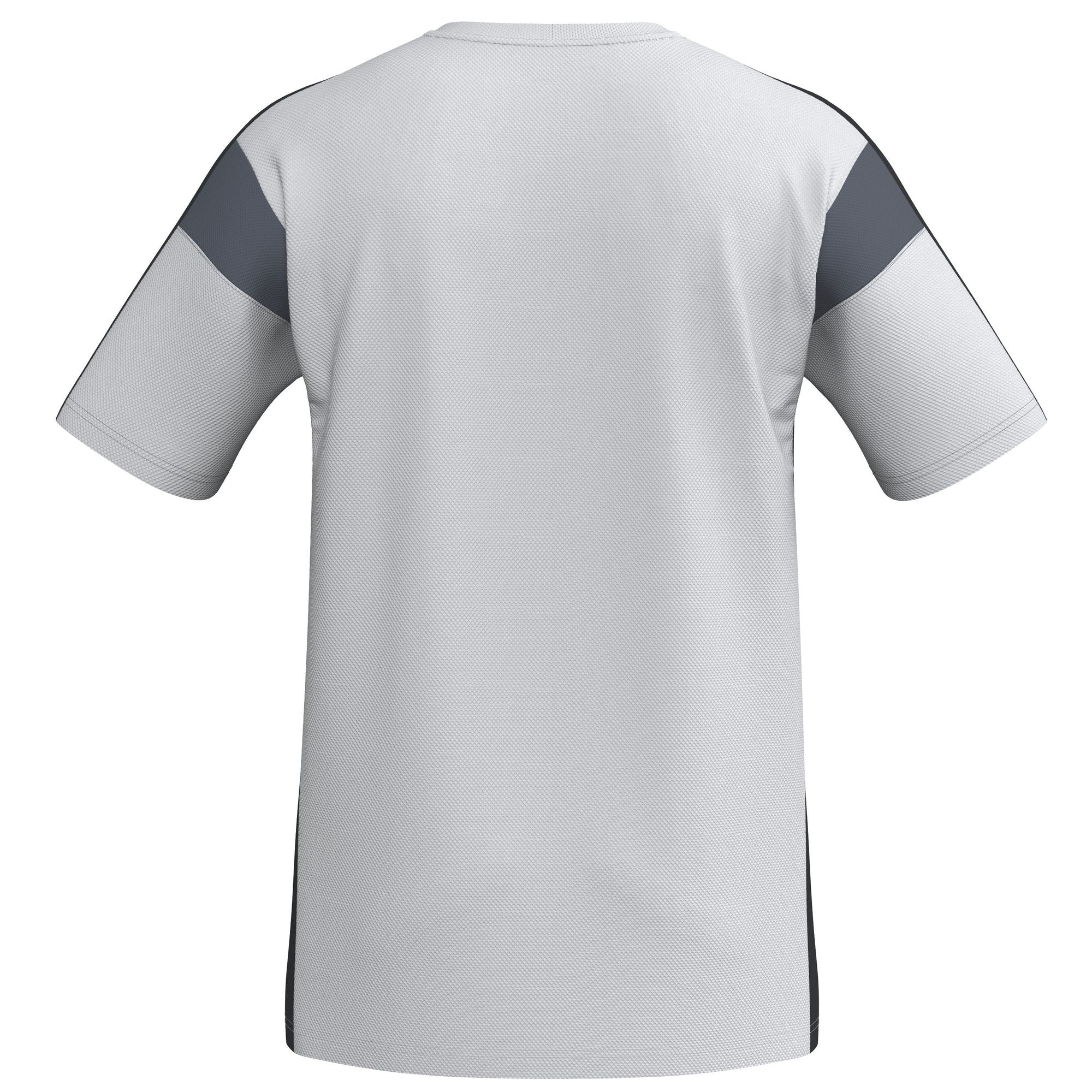 Tricou Erima Celebrate 125 Funcție Multicolor