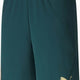 Herrshorts Puma Figc Trhird Shorts Replica Green