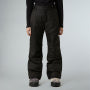The North Face Ski Pants Boys