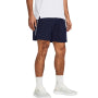 Męskie spodenki sportowe Under Armour