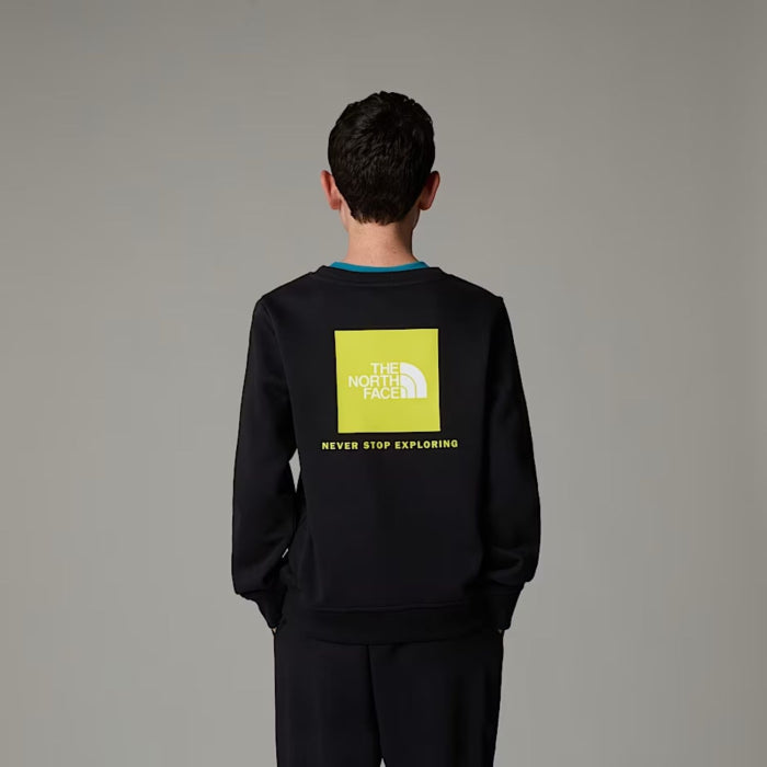 Ежедневен пуловер за момчета The North Face