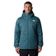 Ежедневно зимно мъжко яке The North Face