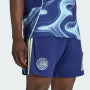 Adidas Men's Football Shorts