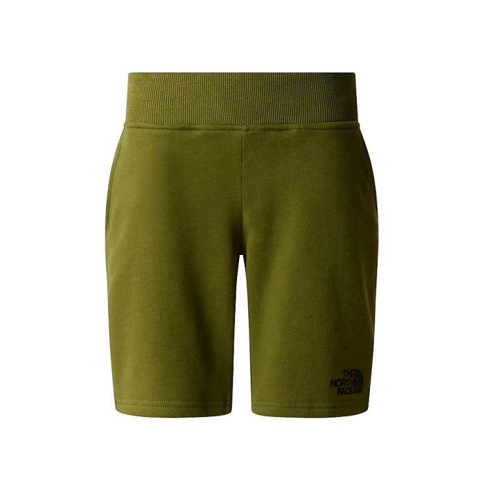 The North Face Ежедневни къси момчета