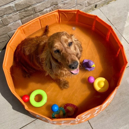 Swim Essentials Hundebassin - Orange - Bonebash - Ø 80 Cm