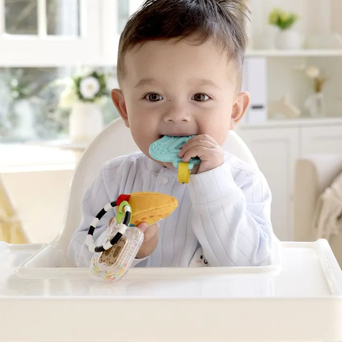 Hape Sensory Abcs Playset