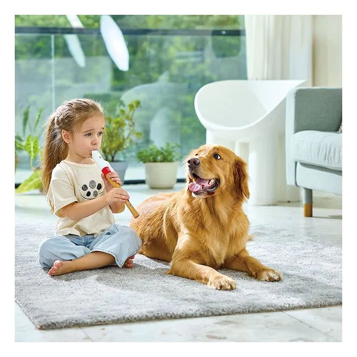 Hape Musician's starterblokfluit
