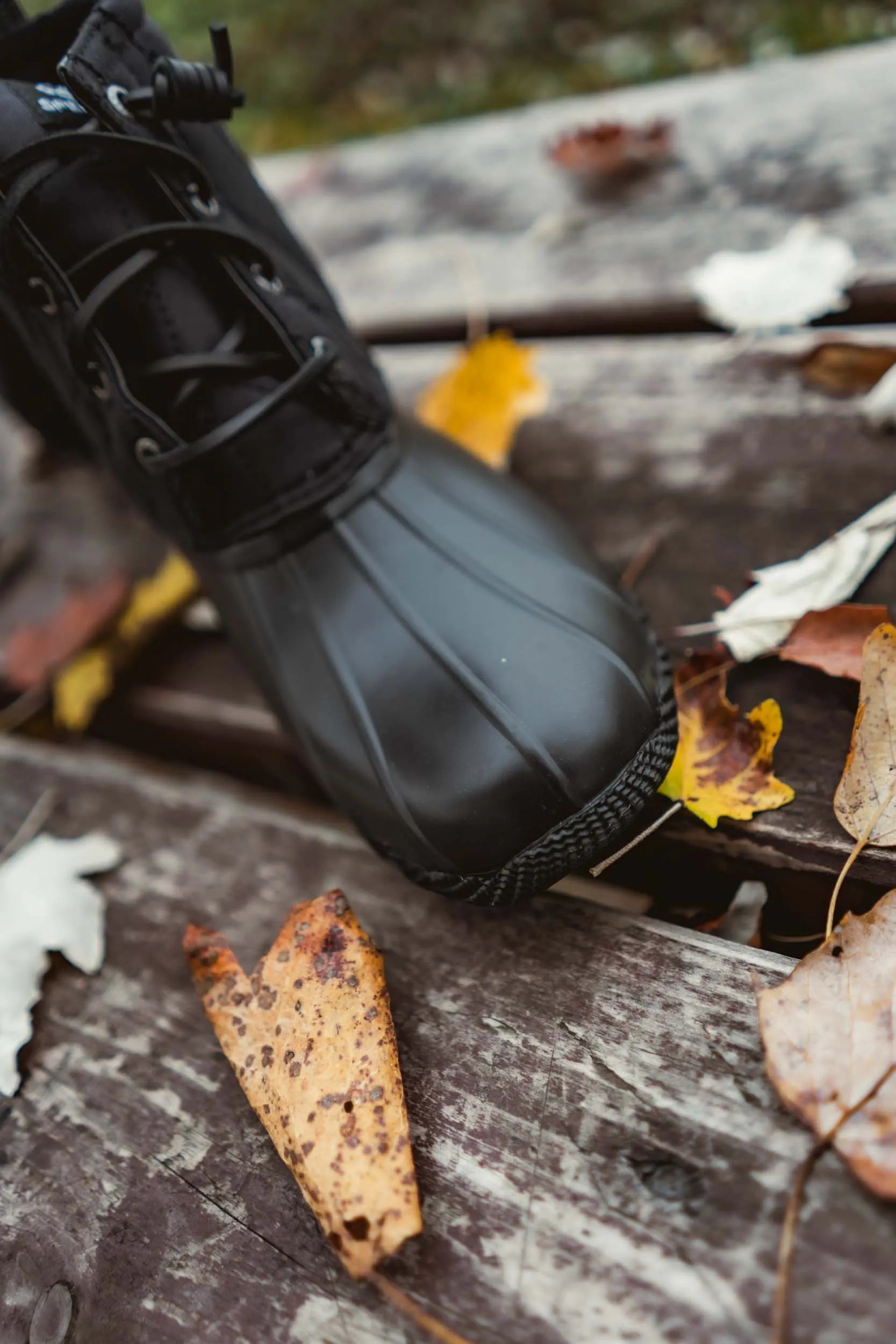 Bottes d'hiver Sperry Wms Saltwater noires pour femmes