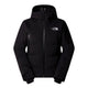 The North Face Ski Jacket Men