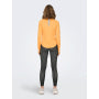 Alleen sporttrui dames