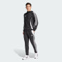 Pánské joggingové kalhoty Adidas