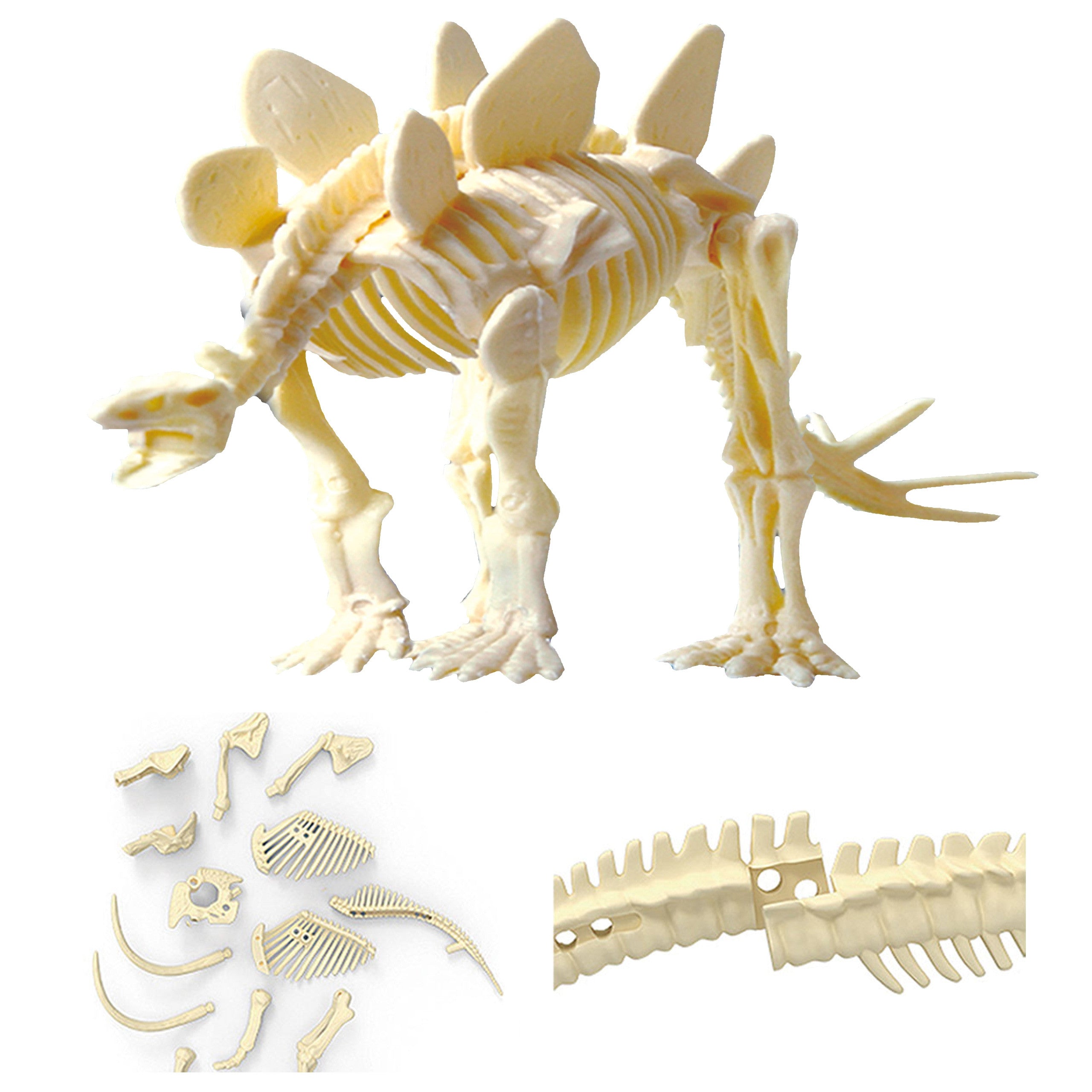 Woopie Kreatives Spielzeug-Dinosaurier-Skelett, archäologische Ausgrabung