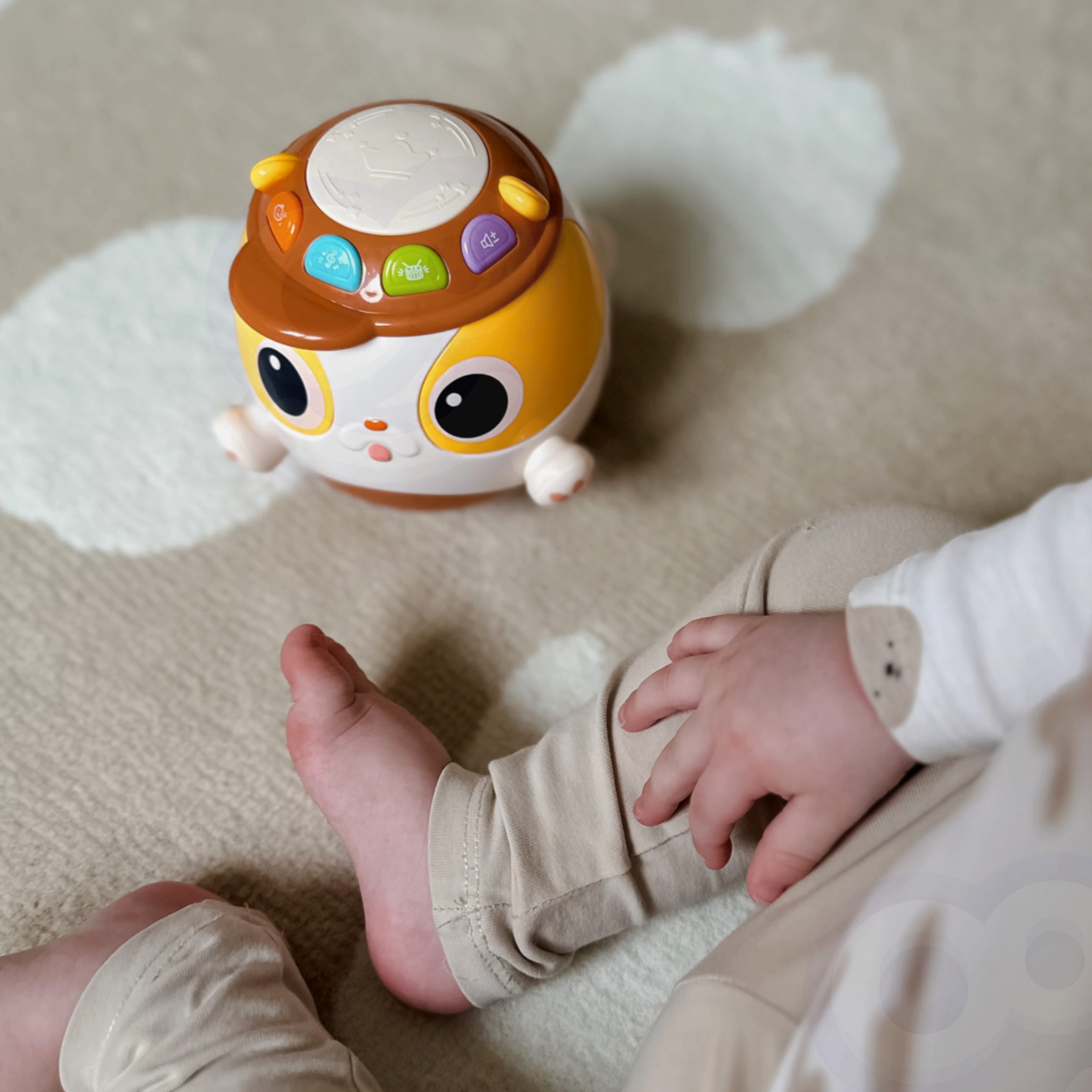 Woopie Baby Jucărie educativă muzicală interactivă pentru câine