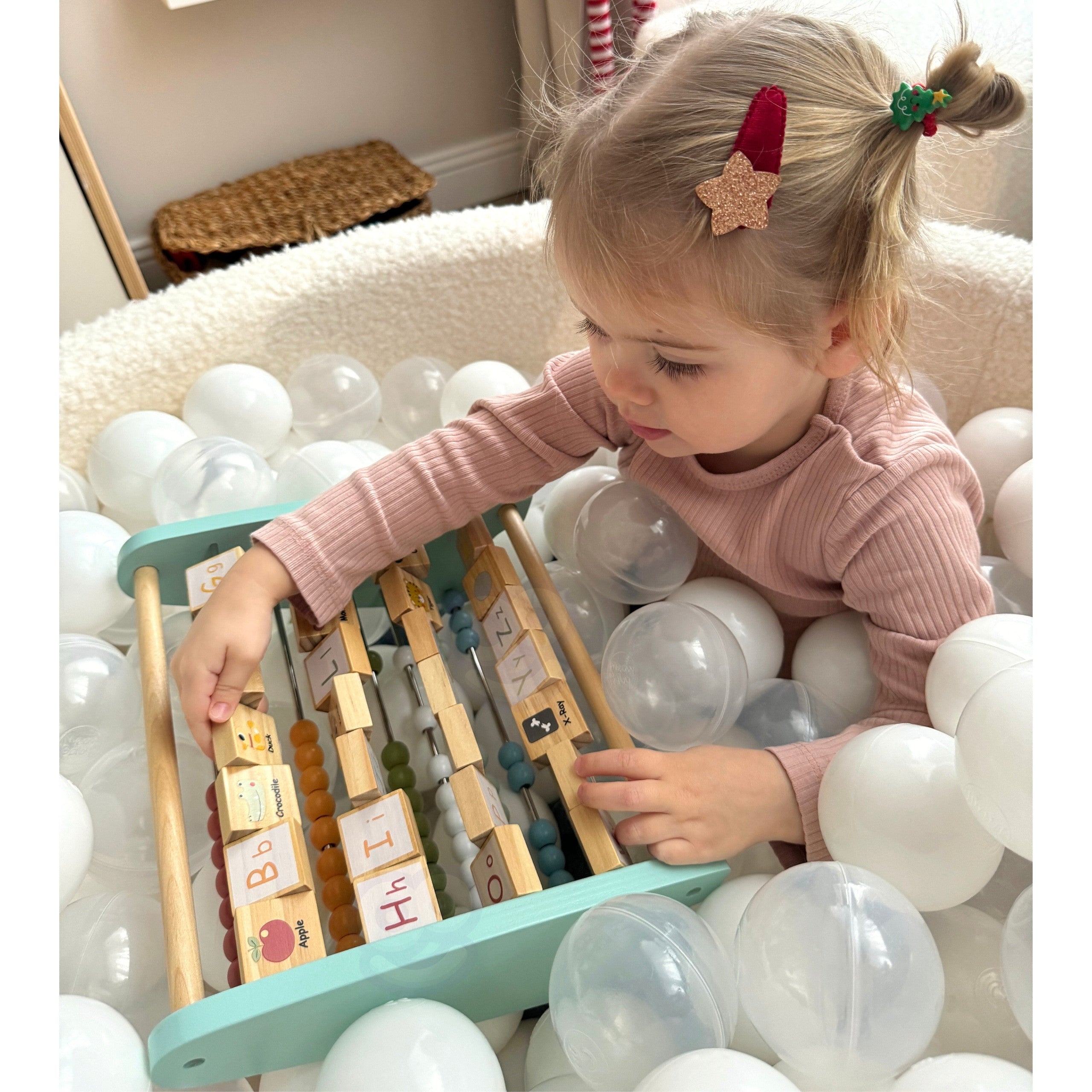 Tooky Toy Oboustranné obrázky Abacus abecedy