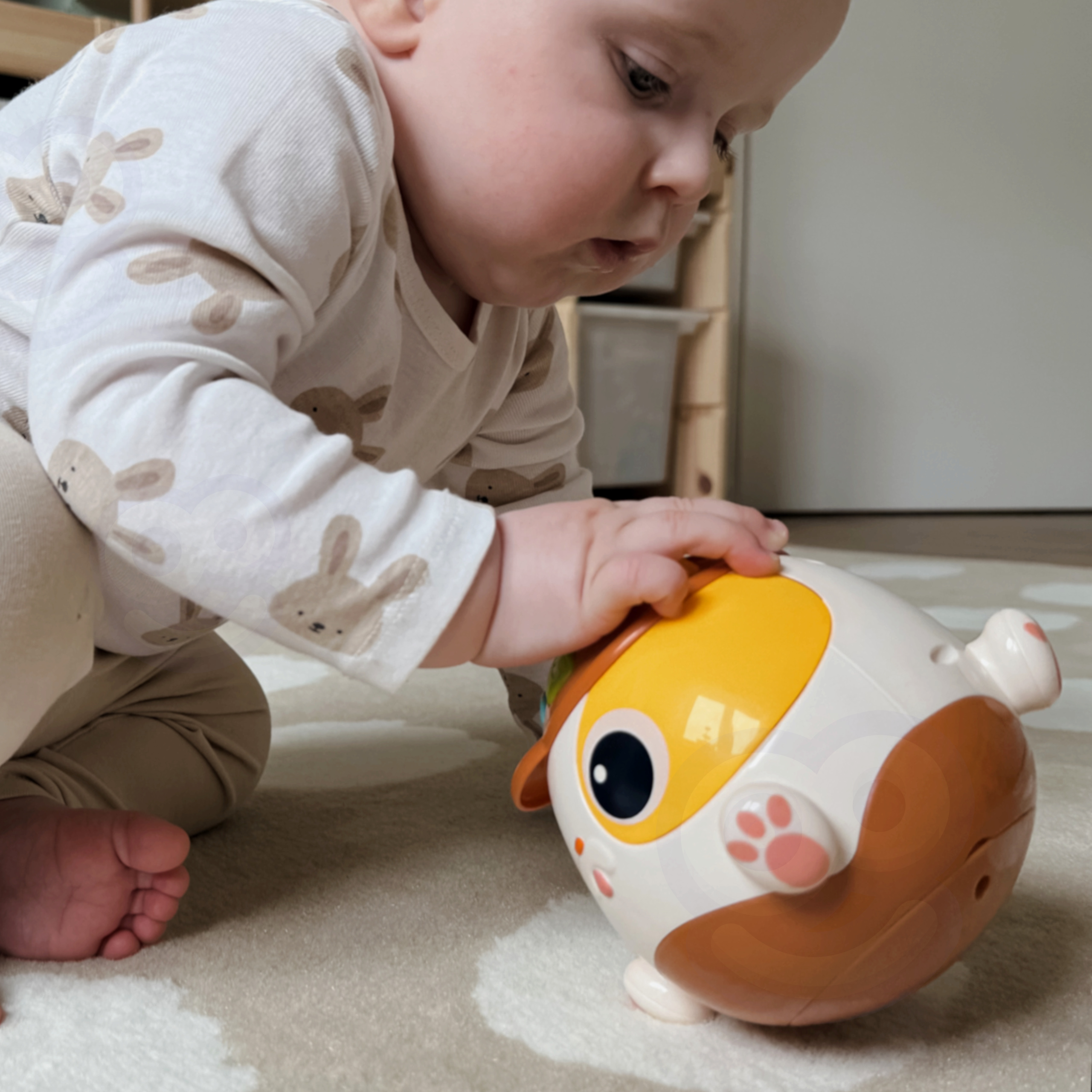 Woopie Baby Jucărie educativă muzicală interactivă pentru câine