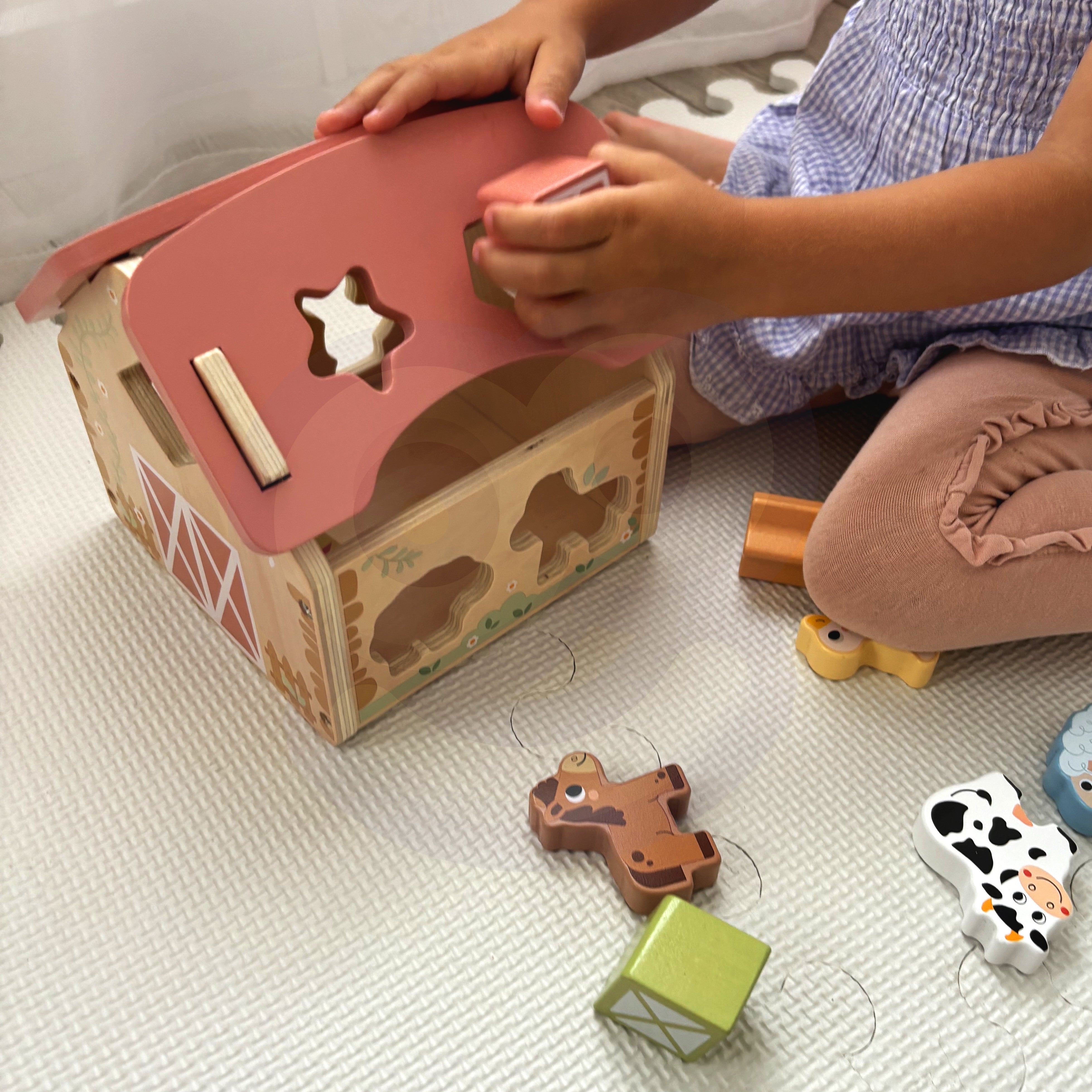 Woopie Green Wooden Farm Shape And Color Sorter 13 Pcs.