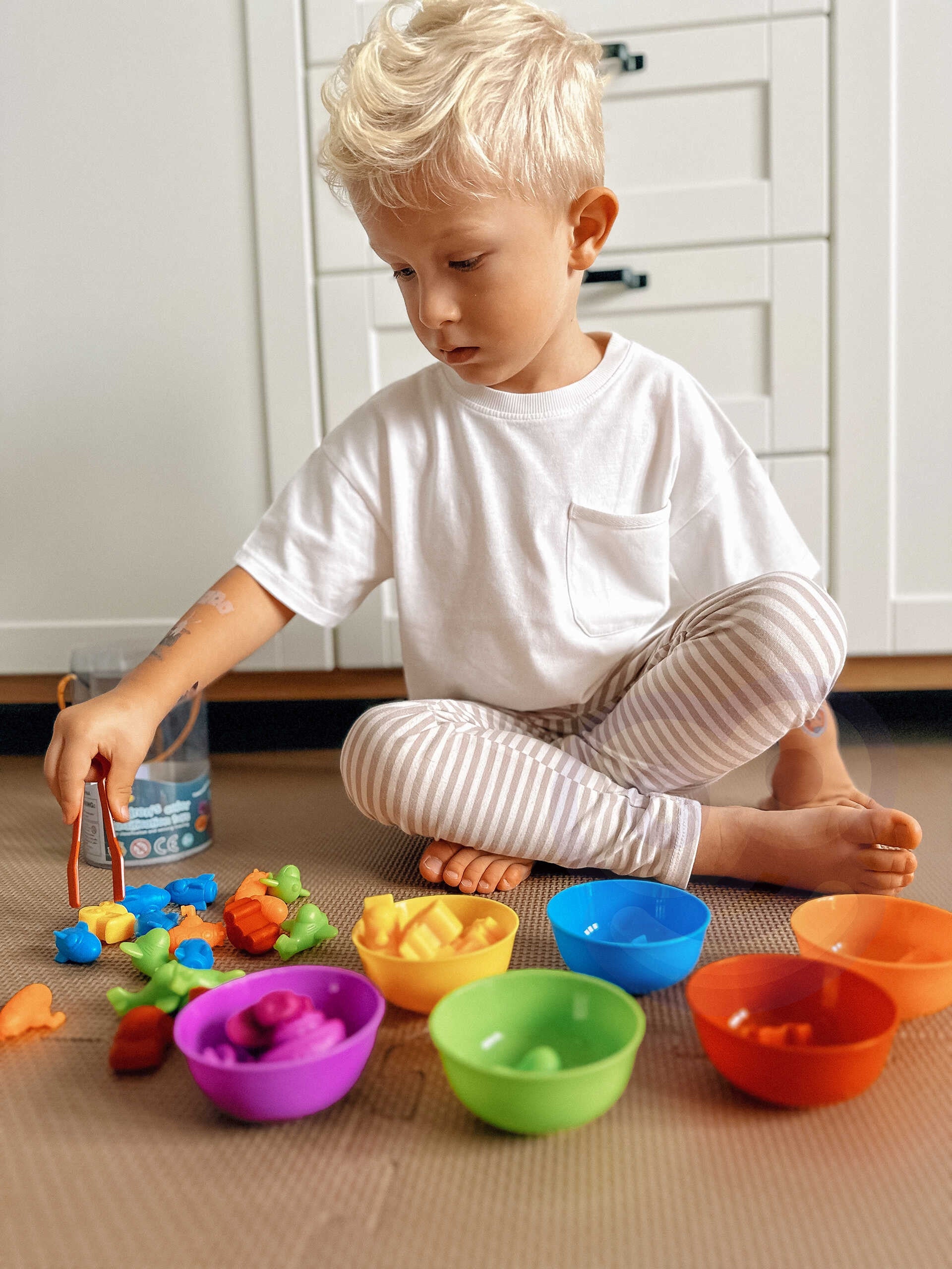 Woopie Montessori Joc Educativ Sortare Culori Animale 44 Buc.
