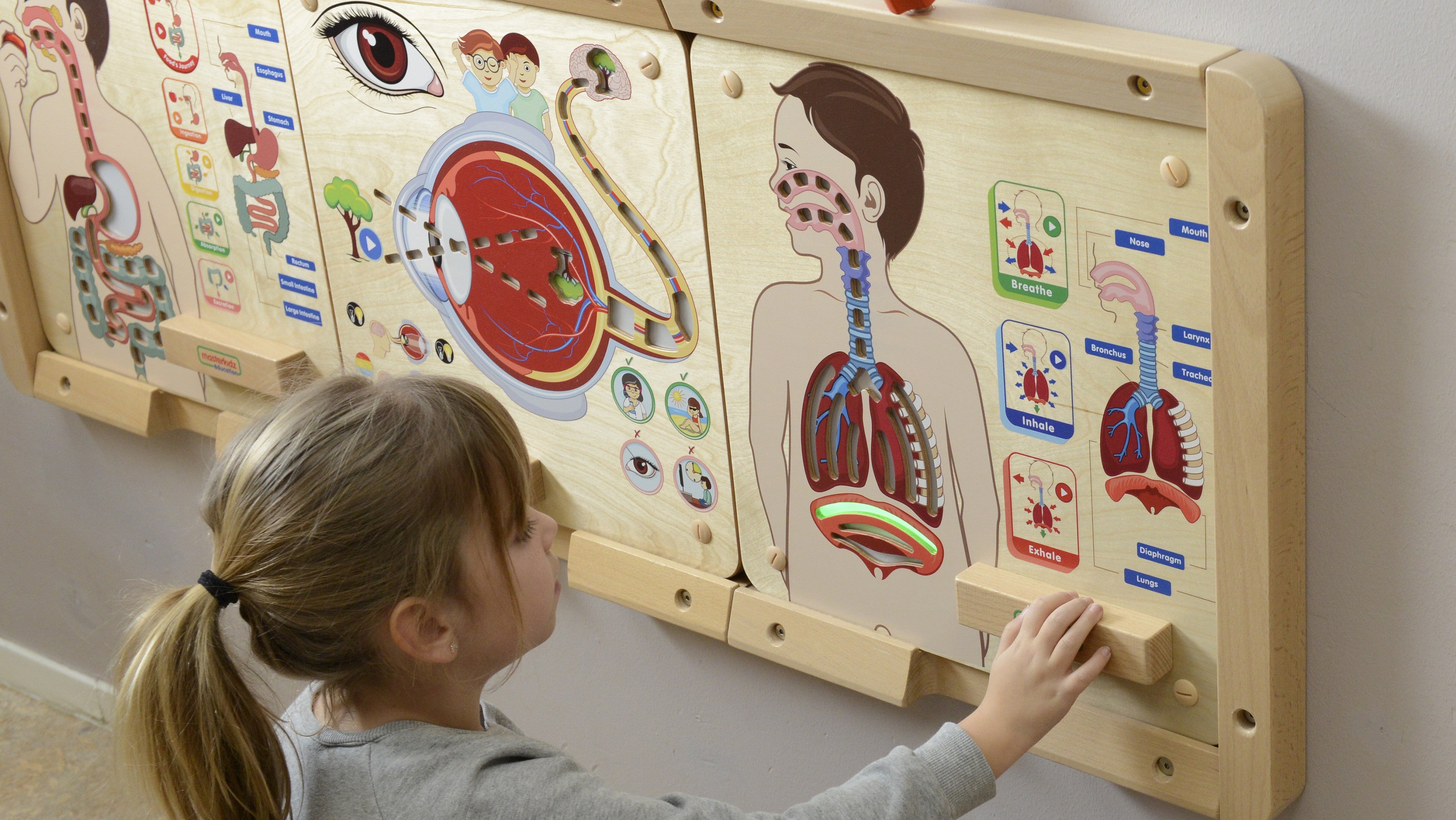 Masterkidz Montessori Légzőrendszer Oktatási Tanácsa