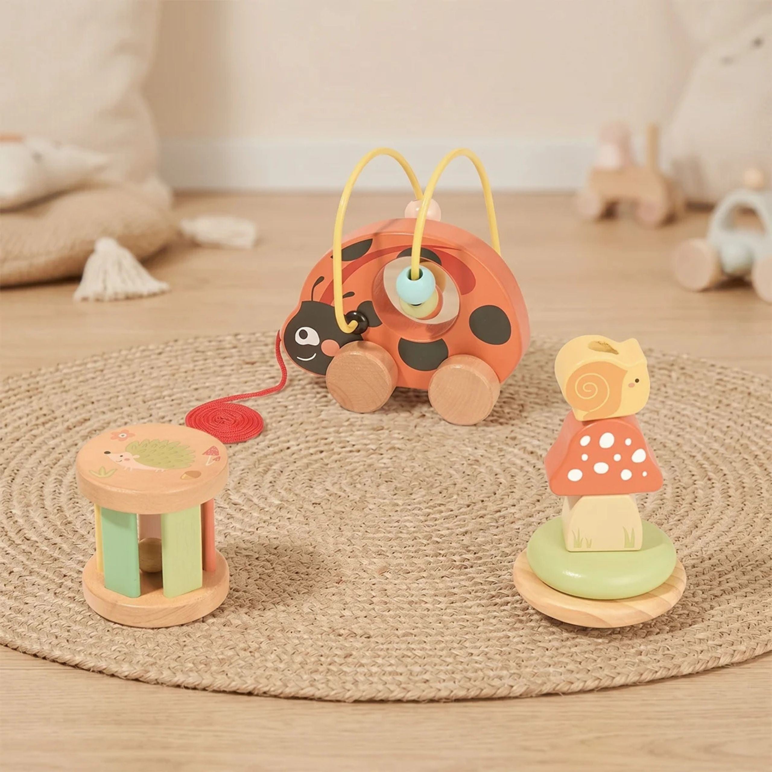 Tooky Toy Ladybug Ensemble de jeu de développement 3 en 1
